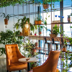 Inviting café corner with lush plants and cozy seating, perfect for relaxation.